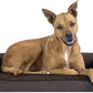 Furhaven Orthopedic Dog Bed for Large/Medium Dogs w/ Removable Bolsters & Washable Cover, For Dogs Up to 55 lbs - Sherpa & Chenille Sofa - Coffee, Large