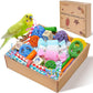 Colorful Bird Foraging & Shredding Toys Box – Safe Bird Toys for Parakeets, Cockatiels, Conures & Small Birds, Perfect for Spring and Summer