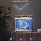 Fish Tank Smart Aquarium Kit: URUQ 2 Gallon Self Cleaning Multi-Layer Filtration System Silent Pump - UHD Glass 7-Color Lighting Temperature Monitoring - Fragrance Diffuser Humidifier White