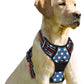 BARKBAY No Pull Dog Harness Front Clip Heavy Duty Reflective Easy Control Handle for Large Dog Walking(Star,M)