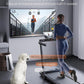 2 in 1 Folding Treadmills for Home Small Office, 2.5HP Walking Pad Treadmill with Handle Bar, 300lbs Capacity, Copmact Protable Treadmill with Smart APPs, 12 HIIT Modes and Touch Screen