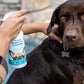 Vetericyn FoamCare Dog Shampoo and Conditioner - Instant Foaming, Spray-On Hypoallergenic Shampoo, Plant-Based Formula for Dogs and Cats. 16 Ounce