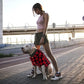Plaid Buffalo Dog Outfit - Soft Casual Dog & Cat Clothes for Small to Large Puppies - Red, Halloween & Christmas Costume (L)