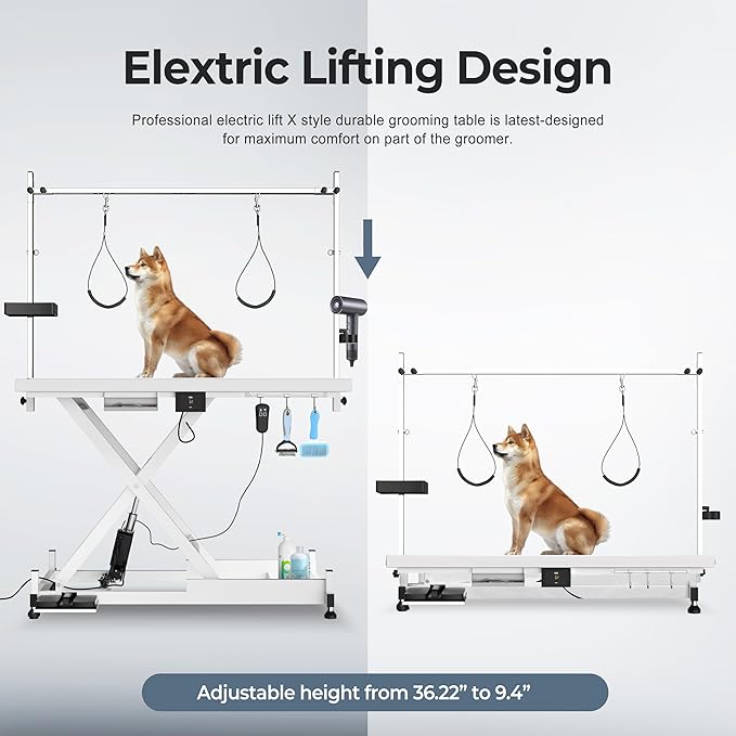 Heavy Duty Electric Lifting Pet Dog Grooming Table for Large Dogs with Overhead Arm, Anti-Skid Rubber Desktop and Powerful Motor, 50'' / White