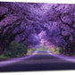 Large Purple Flower Wall Art Nature Landscape Canvas Living Room Floral Aesthetics Pictures Framed Prints Oversize Wall Decor Painting Artwork for Bedroom Dining Office Home 60"x30"