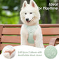 No Pull Dog Harness, Puppy Vest with Front Clip for Small Medium Large Sized Dog(Light Green,M)