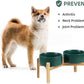 Ceramic Raised Double Bowls Set with Stand, Food & Water Bowls for Medium Breed Dogs, Weighted Dog Dishes, Pet Bowl(7.3'',41OZ, Green)
