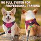 Dog Harness Step in Dog Vest Harness, Reflective Adjustable Puppy No Pull Harness Breathable Soft for Small and Medium Dogs Cats, Pink/Black, XS