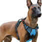 rabbitgoo Dog Harness for Large, No Pull Pet Harness with 3 Buckles, Adjustable Soft Padded Vest with Control Handle, Walking Reflective Pet Vest for Extra Large Dogs, Sky Blue, XL