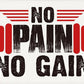 No Pain No Gain Gym Motivational Wall Art Banner Dorm Posters Gifts for Guys Men Women Gym Flag Decor for Home Gym Bedroom Workout Room 30x20 Inchs