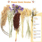 Natural Hamster Bedding, Hamster Herbs Flowers for Hamster Cage Enclosure Habitat Decor Hamster Sprays for Dwarf Syrian Guinea Hamsters Gerbil Degus or Other Small Animals（Flower Grain Version）