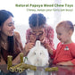 Fhiny Rabbit Chew Toys, 6 PCS 3.9" Natural Papaya Wood Chew Sticks Guinea Pig Treats for Dental Care Bunny Treats for Rabbits Small Pet Molar Snacks for Bunny Guinea Pig Chinchilla Hamster Gerbil