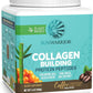 Vegan Collagen Protein Powder for Women Silica Plant Based Collagen Powder Coffee Flavor with Vegan Hair Skin and Nails Vitamins Non-GMO No Added Sugar Soy Dairy & Gluten Free (Coffee, 20 Servings)