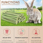 Bissap 50PCS Rabbit Chew Sticks, Natural Papaya Stems Bunny Chews Treats for Rabbits Hamsters Chinchillas Guinea Pigs Small Animals Organic Molar Chewing Snack