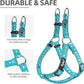 PUPTECK No Pull Dog Harness Soft Adjustable Basic Nylon Step in Puppy Vest Outdoor Walking with ID Tag, Moon Star Sky Blue, S