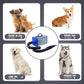 2400w 75m/s Dog Dryer for Pet Grooming, High Velocity Pet Hair Dryer with Heater, Adjustable Speed, 4 Nozzles and a Comb, Blue