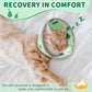 Cat Cone Collar Soft, Comfortable Cat Recovery Collar Pet Cone for Small Large Cats, Lightweight Elizabethan Collar for Cats Kittens After Surgery Prevent from Licking Wounds, Green, M