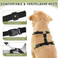 Lukovee Dog Seat Belt for Car, Adjustable Dog Car Harness for Large Medium Small Dogs, Soft Padded & Breathable Mesh Dog Seatbelt with Car Vehicle Connector Strap (Blue,Small)