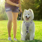 BARKBAY Dog Harness No Pull with ID Tag Pocket - Heavy Duty, Reflective, Easy Control for Large Dogs(Grey,M)
