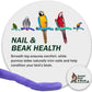 Safety Pumice Perch - Trims Nails and Beak - Promotes Healthy Feet - Safe Non-Toxic Bird Supplies for Bird Cages - X-Large 14"