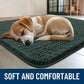 Smiry Dog Door Mat for Muddy Paws 47x32, Absorbs Moisture and Dirt Doormat, Non-Slip Washable Quick Dry Chenille Front Door Mat Indoor Entrance, Entryway Carpet for Inside Floor, Green