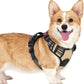 rabbitgoo Dog Harness Small Sized, No Pull Pet Harness with 3 Buckles, Adjustable Soft Padded Vest with Control Handle, Walking Reflective Pet Vest for Small Dogs, Beige, S
