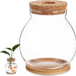 Desktop Fish Bowl Clear Glass Small Betta Fish Tank with Wood Lid and Bamboo Stand Table Hydroponic Plants Terrarium for Home Office Decoration 13 * 14cm