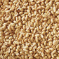Shelled Peanuts Seeds Wild Bird Food - 5 Pounds I No Grow Seed I Bird Seed for Wild Birds