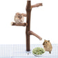 Bird Perch Stand Toy, Natural Grapevine Wood Parrot Perch Bird Cage Branch Accessories for Parakeets Cockatiels Conures Macaws Finches Love Birds(9.8" Length)