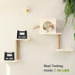 FUKUMARU Cat Wall Shelves, 5-Piece Stable Wooden Wall-Mounted Furniture Set, Kitty Climber with Hammock, House, Steps, Scratching Post (Beige)