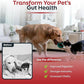Probiotics for Cats & Dogs - 6 Billion CFU Prebiotic & Probiotic Powder - 8 Strains Pet Digestive Support - Gut Health Supplement with Flaxseed & Pumpkin - 30 Day Supply with Scoop