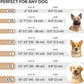 CollarDirect Rolled Leather Dog Collar, Soft Padded Round Puppy Collar, Handmade Genuine Leather Collar Dog Small Large Cat Collars 13 Colors (6 Inch, Beige Smooth)