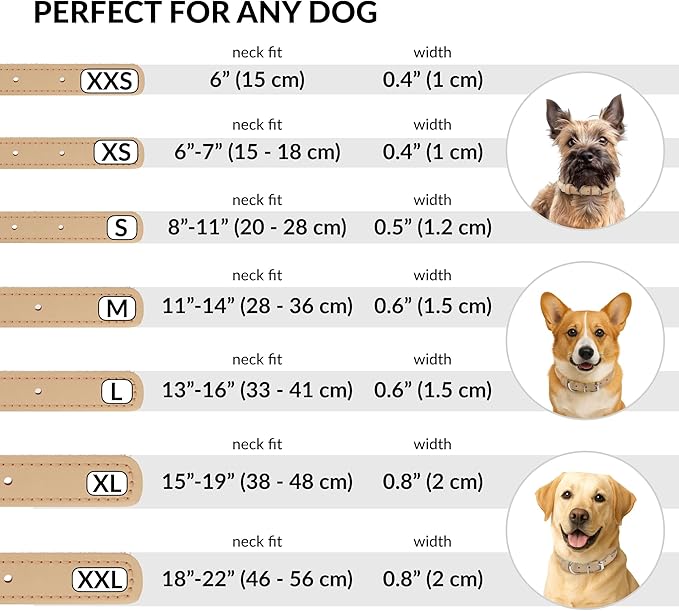 CollarDirect Rolled Leather Dog Collar, Soft Padded Round Puppy Collar, Handmade Genuine Leather Collar Dog Small Large Cat Collars 13 Colors (8-11 Inch, Beige Smooth)