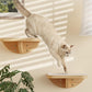 Cat Window Perches, Curved Cat Wall Beige Bed and 2 Floating Wall Steps, Wall Mounted Climbing Shelves for Sleeping, Playing, and Lounging
