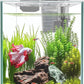 Ultra White Glass Betta Aquarium Starter Kits 1.5 Gallon Small Fish Tank, Betta Fish Tank with LED Light, Power Filter, 4mm Glass