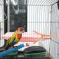 2pcs Bird Parrot Perch Stand Poles, Natural Wooden Parrot Perch for Cage, Branches Fork Rod for Small Parakeets Cockatiels Conure Lovebirds Bird Cage Accessories