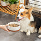 MALACASA Dog Bowls, Ceramic Dog Food and Water Bowls for Medium Size Dogs, 3.5 Cups Capacity Pet Bowl for Medium Dogs (M-3.5 Cups)