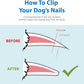 Flexzion Dog Cat Nail Clipper and Trimmer, Pet Toe Claw Scissor Grooming Tool with Stainless Steel Blades File Easy Grip Handle Safety Guard Avoid Overcutting for Small Medium Large Breed Puppy, Pink
