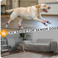 BEAUTYZOO Anti-Slip Dog Socks,Dog Shoes for Hot/Cold Pavement,Paw Protectors with Grips 3 Pairs for Puppy Small Medium Large Senior Old Dogs,Dog Socks to Prevent Licking and Hardwood Floor Protection