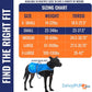 Dog Reflective Vest – Hi-Vis Fluorescent Visibility That Helps to Safeguard Your Pet On/Off Leash in Urban & Rural Areas (Blue, Small)