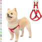 PUPTECK No Pull Dog Harness Soft Adjustable Basic Nylon Step in Puppy Vest Outdoor Walking with ID Tag X-Small Red
