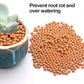 Clay Pebbles Gardening Ceramsite Orchid Hydroponic Grow Media Clay Rocks Drainage Water Purification Ceramsite Decor Cultivation Soil Stone Horticultural Grade for Soil Hydroponics Aquaponics 2.2lb