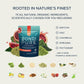 Bondi Pure - Daily Health & Detox Drink - Promote Gut Health & Energy Support During a Cleanse or Intermittent Fasting - Plant-Based Fibers, Alkalizing Super Greens - Blood Orange (30 Servings)