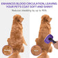 Dog Brush Kit – 3 PCS Grooming Set with Self-Cleaning Brush, Undercoat Rake & Pet Bath Brush. Great for Shedding, Tangles & Dirt Removal – Ideal for Long & Short Haired Dogs & Cats, Purple