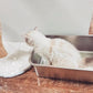 IKITCHEN Stainless Steel Cat Litter Box, Large Metal Litter Box for Cats, Never Absorbs Odors,Stain Free, Rustproof, Non Stick Smooth Surface, Anti-Slip Rubber Bottom, 19.5" L x 13.5" W x 6" H