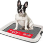 IRIS USA Pee Pad Holder - Medium Dog Pad Holder with Secured Latches, Non-Skid Feet, High Polish Finish for Easy Cleaning, Leak Protection, Fits 17"x23" Pad, Dark Gray