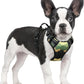 rabbitgoo Dog Harness No Pull with 2 Leash Clips, Adjustable Soft Padded, Reflective Oxford No Choke Pet Vest with Easy Control Handle for Large Dogs, Green Mountain,S