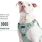 2025 New Edition, Fei & Eve MagEase Dog Harness - 3-Second Magnetic Buckles | 3-Point No-Pull Control | Heavy-Duty 900D Nylon | Dual Safety Handles | Breathable Mesh | Adjustable Fit | X-Large, Green