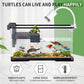 (Tank + Light + Filter + Filter Balls) Turtle Tank Kit, Turtle Tank Starter Kit,Bottom Drainage, Multi-Function Areas for Turtles, Crabs,Fishes, Amphibians,Reptiles. (21.65 × 12.28 × 12.28 Inch)