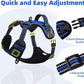 PUPTECK No Pull Dog Harness for Large, Adjustable Reflective Dog Harness with Handle Easy Control, Comfortable Soft Padded Pet Vest Harness for Large Dogs, Blue L